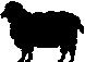 mouton